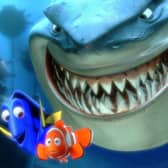 Experts say fish have intelligence, so should we be eating them?