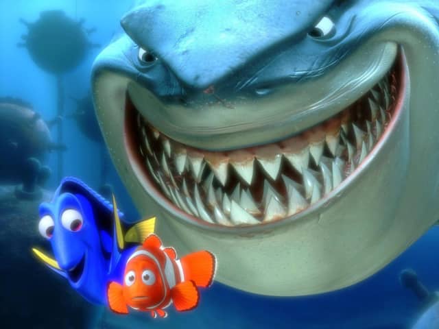 Experts say fish have intelligence, so should we be eating them?