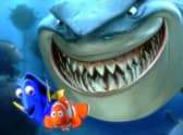Experts say fish have intelligence, so should we be eating them?