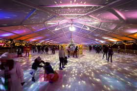 Elfingrove 2023 has been put 'on ice'