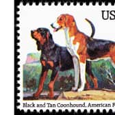 A Black and Tan Coonhound and an American Fox Hound on an American stamp.