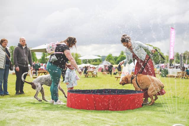 DogFest is the place to be for animal-lovers and their four-legged friends this September