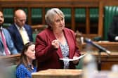 Christine Jardine MP in the House of Commons Chamber