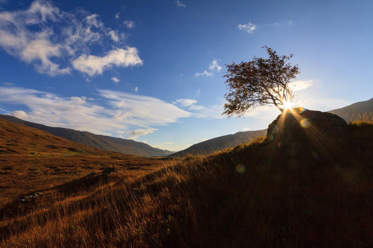 Amber alert for extreme heat in Scotland as temperatures soar and water warning issued