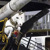 HMS Unicorn has a 200-year-old history - and now millions of pounds are needed to secure its future as a prime Dundee visitor attraction. PIC: Unicorn Preservation Society.