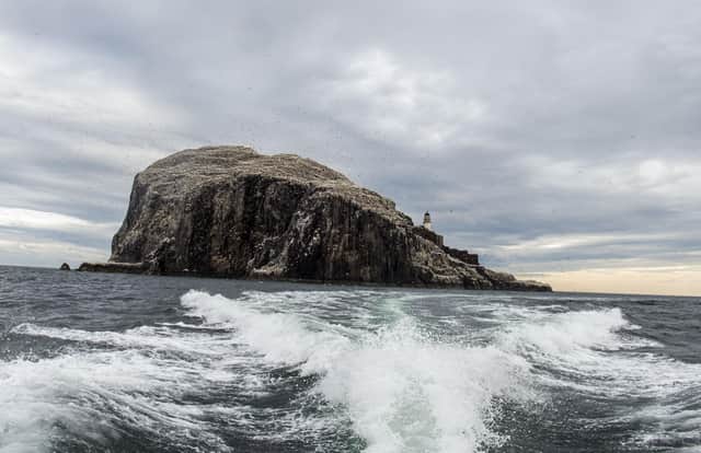 The Bass Rock is a sanctuary for gannets, hosting over 150,000 of them during peak breeding season (Photo: Lisa Ferguson).