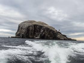 The Bass Rock is a sanctuary for gannets, hosting over 150,000 of them during peak breeding season (Photo: Lisa Ferguson).