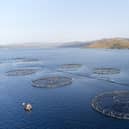 Used salmon farm nets are being sent to Ukraine