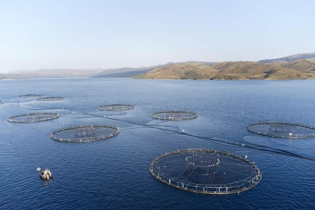 Animal welfare groups and politicians have written to the Scottish Government, calling for a moratorium on the expansion of salmon farming - which could be set to double