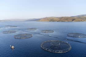 Animal welfare groups and politicians have written to the Scottish Government, calling for a moratorium on the expansion of salmon farming - which could be set to double