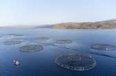 Used salmon farm nets are being sent to Ukraine