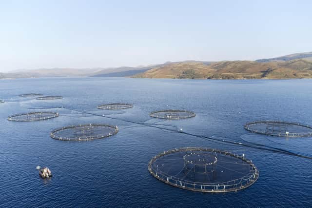 Animal welfare groups and politicians have written to the Scottish Government, calling for a moratorium on the expansion of salmon farming - which could be set to double