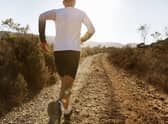 How to get into the fitness habit