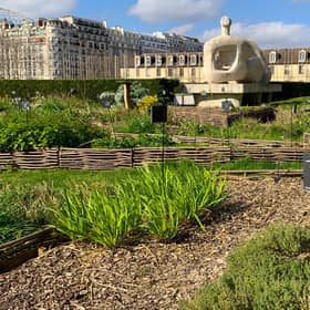 The Unesco headquarters in Paris has transformed its grounds into productive gardens with herbs, vegetables and fruit trees