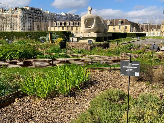 The Unesco headquarters in Paris has transformed its grounds into productive gardens with herbs, vegetables and fruit trees