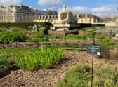 The Unesco headquarters in Paris has transformed its grounds into productive gardens with herbs, vegetables and fruit trees
