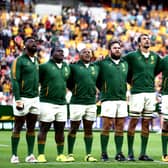 South Africa were defeated by Australia last weekend.