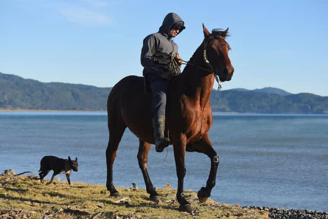 A horse rider from the small community of Te Araroa walks along the shore. It’s common to see people using real horsepower for transport throughout the East Cape, and children riding horses instead of bikes.