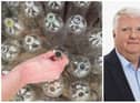 David Harris and other executives at Circularity Scotland are receiving a combined £667,000 in annual salaries and fees.