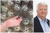 David Harris and other executives at Circularity Scotland are receiving a combined £667,000 in annual salaries and fees.