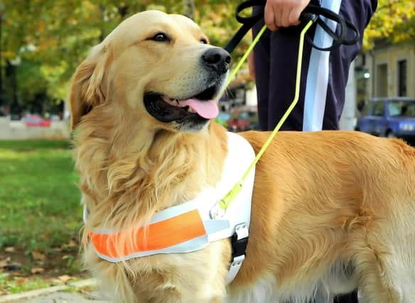 Many dogs aren't merely pets - they also carry out important jobs for their handlers.