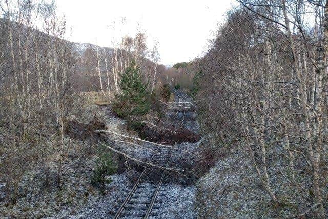 Evanton, Scotland. Trees on the train lines as high winds from Storm Corrie brought down trees and power lines.