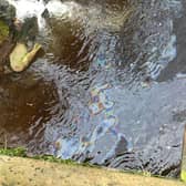 Picture of the River Esk pollution in Musselburgh (Photo: Shona McIntosh).