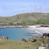 Residents of Great Bernera have been been trying to buy the island from its absentee German landlord for more than a decade. PIC: Walter Baxter/geograph.org