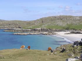 Residents of Great Bernera have been been trying to buy the island from its absentee German landlord for more than a decade. PIC: Walter Baxter/geograph.org