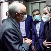 The head of the Atomic Energy Organisation of Iran, Ali Akbar Salehi, left, meets the visiting Director General of the International Atomic Energy Agency Rafael Grossi in Tehran in February (Picture: AFPTV/pool/AFP via Getty Images)