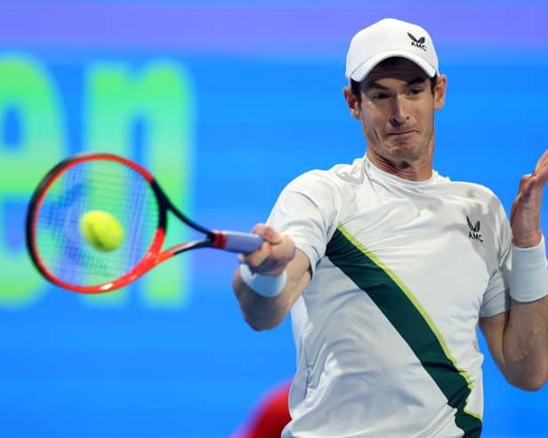 Andy Murray lost in the final of the Qatar Open to Russian Daniil Medvedev. (Photo by Mohamed Farag/Getty Images)