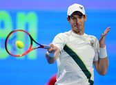 Andy Murray lost in the final of the Qatar Open to Russian Daniil Medvedev. (Photo by Mohamed Farag/Getty Images)