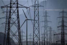 Delta-EE works with businesses to help them navigate the shift to a low-carbon economy (file image). Picture: AFP via Getty Images.