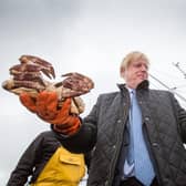 Boris Johnson holds crabs caught on the Carvela at Stromness Harbour during a visit to Scotland (Picture: Robert Perry/PA Wire)