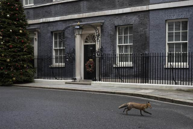 Downing Street Christmas Party: Met police allegedly called to Christmas party after alarm triggered in Downing Street