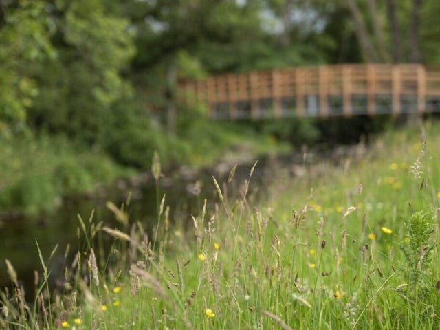 Flower-filled meadows run down to the river bank.