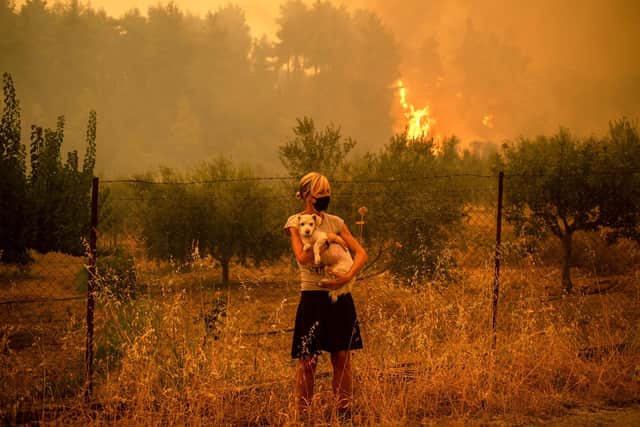 Greece and Turkey have been battling devastating wildfires for nearly two weeks as the region was hit by its most extreme heatwave in decades, which experts have linked to climate change