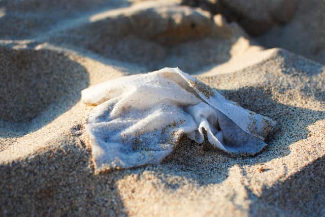 Conservationists are calling for a ban on wet wipes containing plastic as results from the Great British Beach Clean, run by the Marine Conservation Society, show the throwaway cloths are one of the most common litter items polluting beaches across Scotland