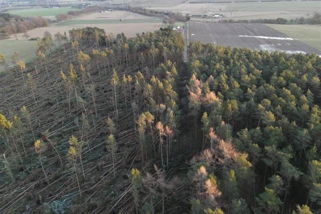 Aberdeenshire was one of the worst-hit areas of Scotland during Storm Arwen, which felled around eight million trees across the country