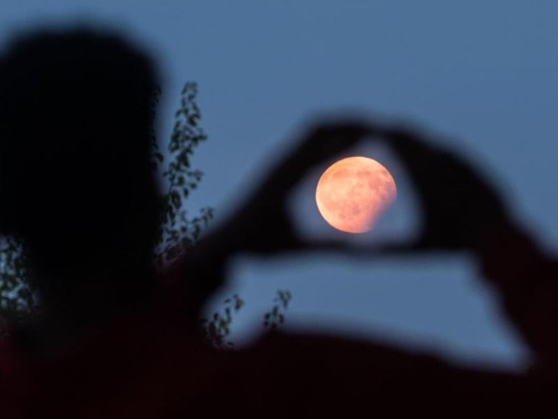 The Pink Moon will peak at 5.34am on Thursday, April 6. According to The Old Farmer’s Almanac, the name ‘Pink Moon’ is derived from the blooming of a pink flower common in North America called ‘ground phlox’ at this time of the year.
