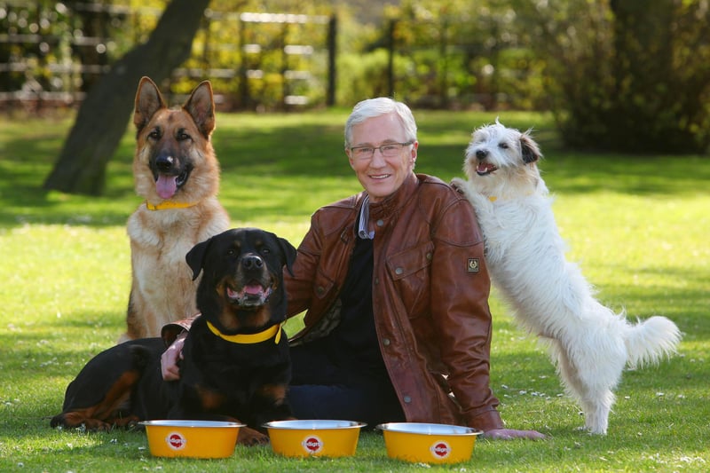 Paul O'Grady with rescue dogs Razor a German Shepherd, Moose a Rottweiler and Dodger a Terrier at London's Battersea Park.