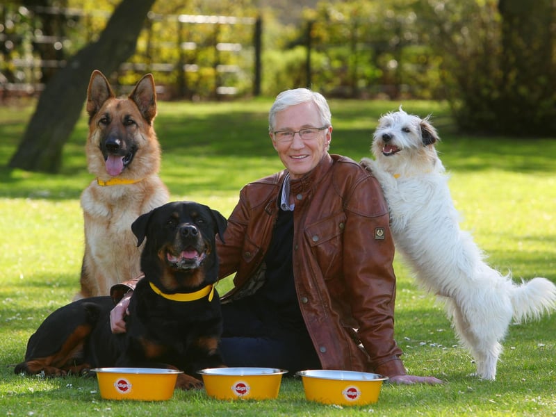 Paul O'Grady with rescue dogs Razor a German Shepherd, Moose a Rottweiler and Dodger a Terrier at London's Battersea Park.