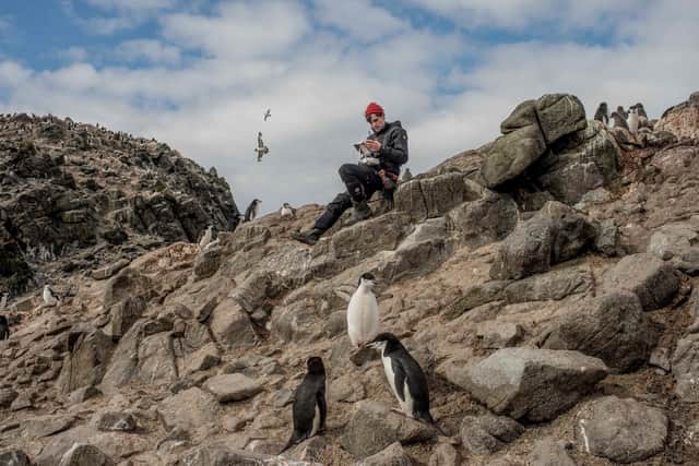 Scientist Michael Wethington, from Stony Brook University in the US, uses a drone to count penguins on Antarctica's Wide Open Island as part of a Greenpeace research expedition to the continent. Picture: Tomás Munita/Greenpeace