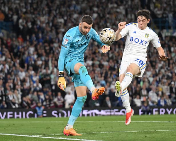 Angus Gunn conceded four goals in Norwich City's play-off defeat by Leeds.