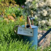 Nature inspired events at Village Green Gatherings