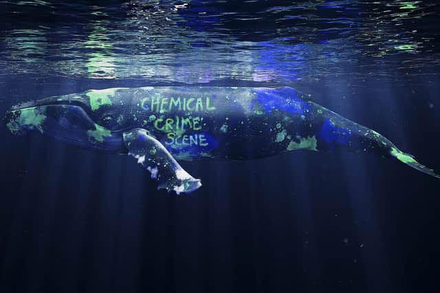The Marine Conservation Society has launched the Stop Ocean Poison campaign, which calls for “a strong, fit-for-purpose” UK chemicals strategy and measures to end use of harmful and enduring synthetic compounds known as PFAS