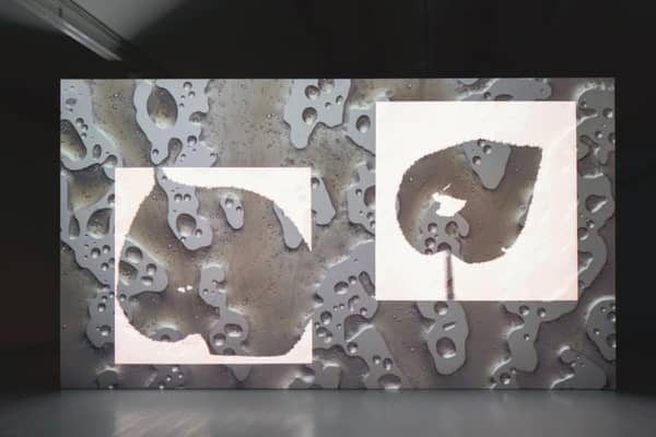 Installation shot of the Stuart Whipps exhibition at DCA PIC: Courtesy of the artist / DCA