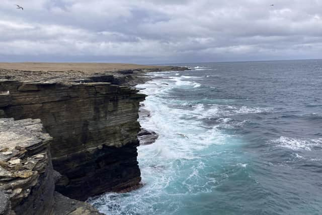 Fowl Craig, where the Great Auk was shot for a collector in 1813. PIC: Papay Ranger.