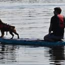 Scientists have carried out the first ever review of potentially deadly antibiotic-resistant bacteria in Scottish lochs, rivers and watercourses. Picture: John Devlin