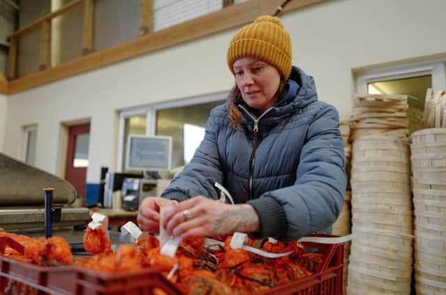 Brexit has meant more form filling for UK shellfish exporters (Picture: Getty)